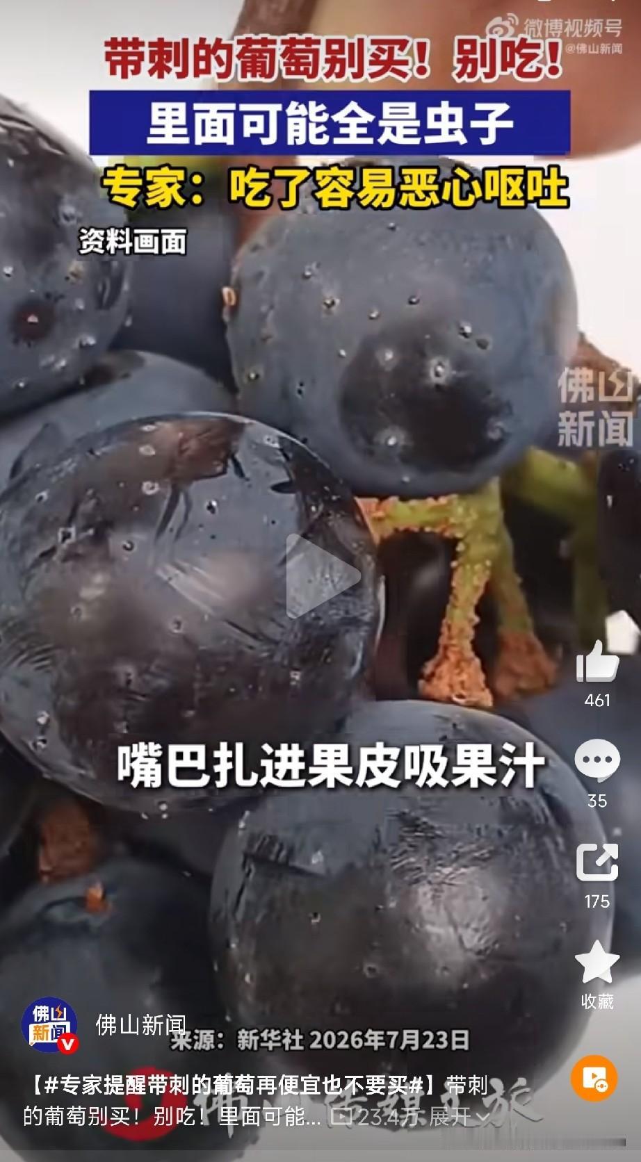 看到这种“带刺”的葡萄，千万别图便宜往家里买！最近北京农学院植物保护系的王进