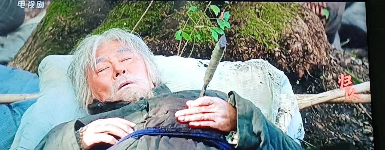 电视剧《归队》让我们这些南方小土豆真正领略了解放前东北老林挖参人的艰难人生。没