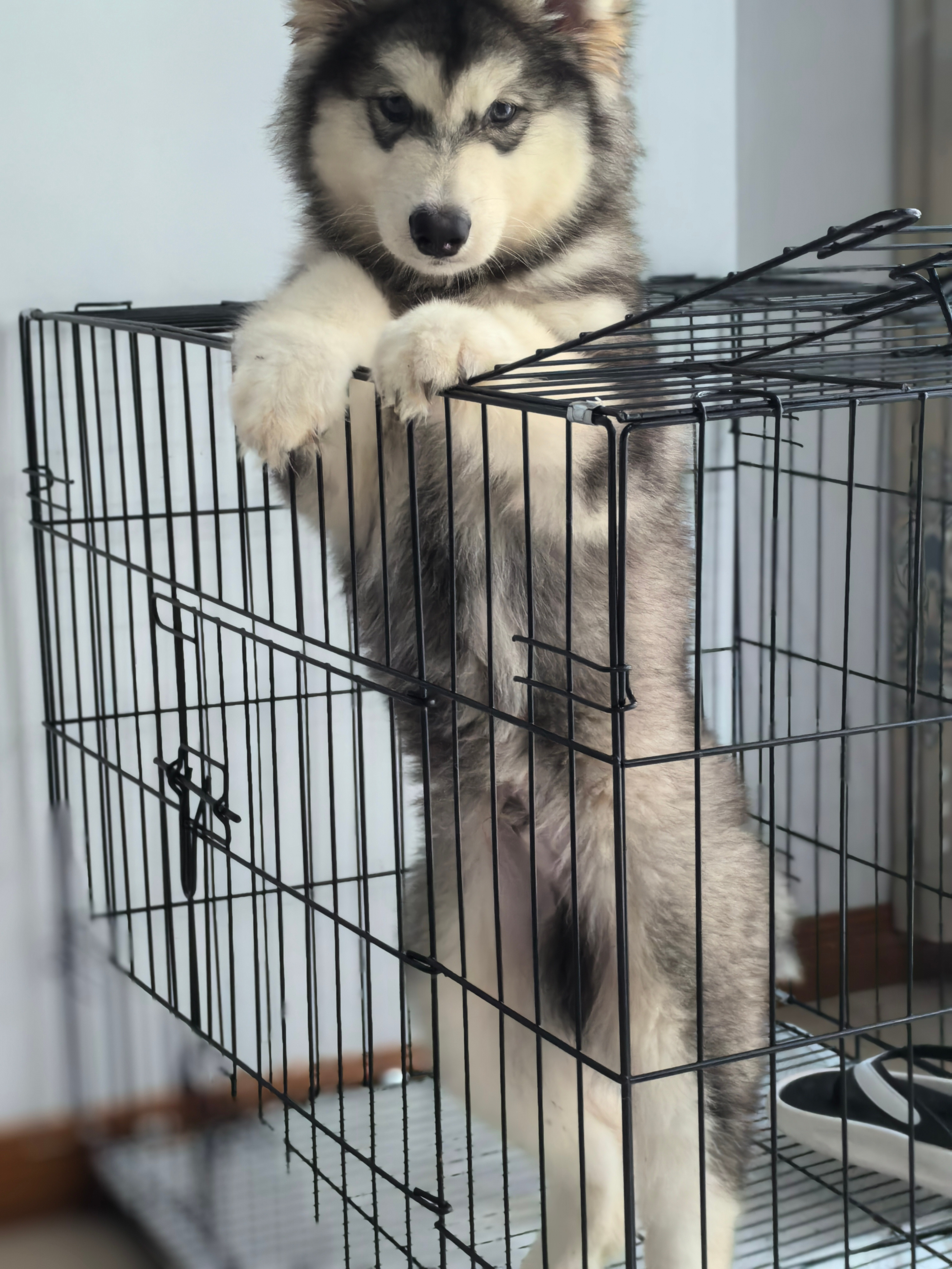 一起床两个就这样。。哈哈哈😂​​​