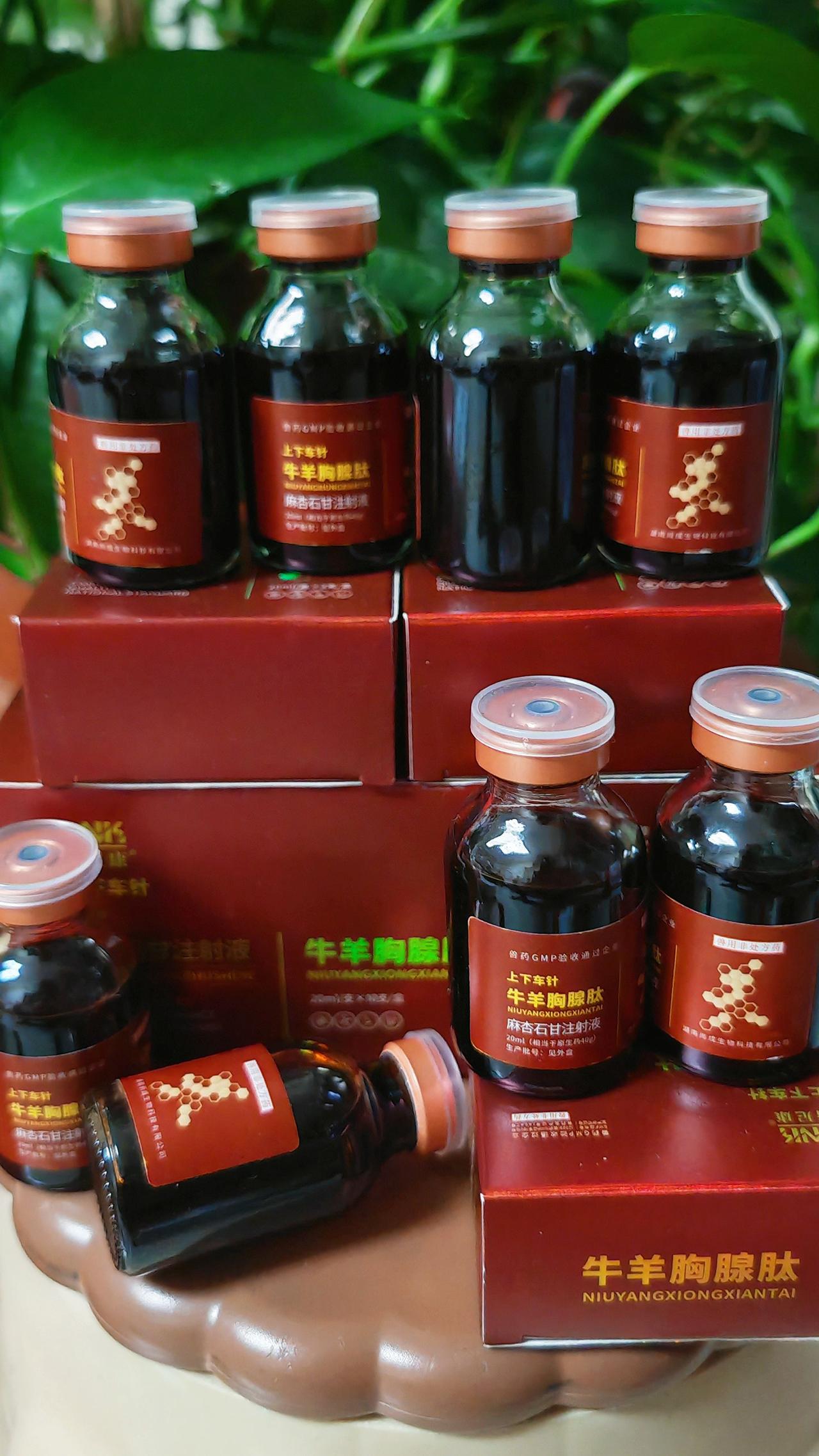 养羊人牛羊养殖农村养羊