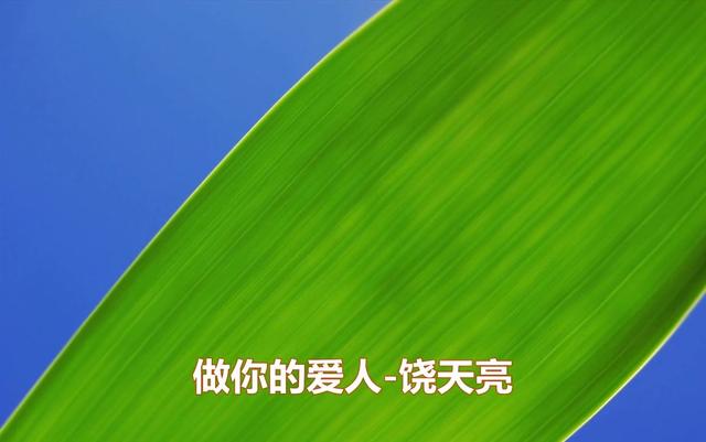 京鹏手机社-饶天亮-做你的爱人DJ版(0)_土豆视