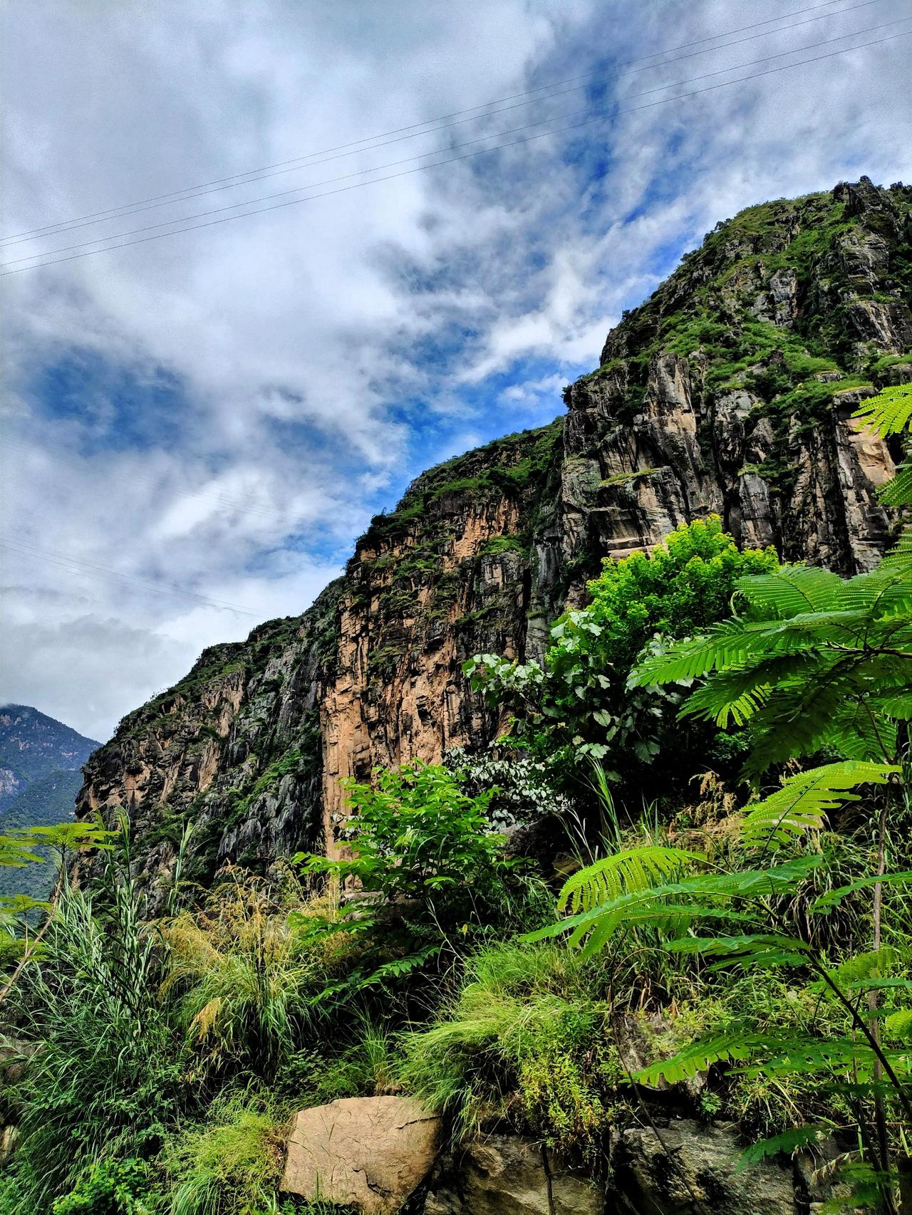 云雾缭绕的山间仙境，绿意盎然的自然奇观。站在这绝壁边缘，微风轻轻拂过，带着淡淡花