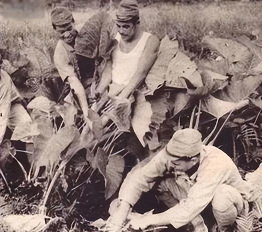 1937年，一群日本兵，撕掉了她的衣服，怀孕7个月的李秀英不堪受辱，一头撞墙了！