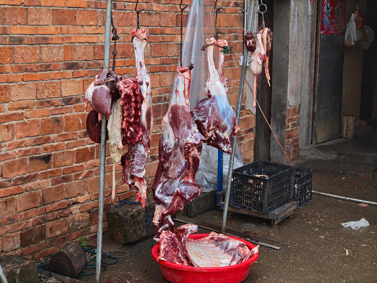 村里现杀的牛，我问下一头牛什么时候杀，说得年后了…然后底下的这张牛皮一般都是送到