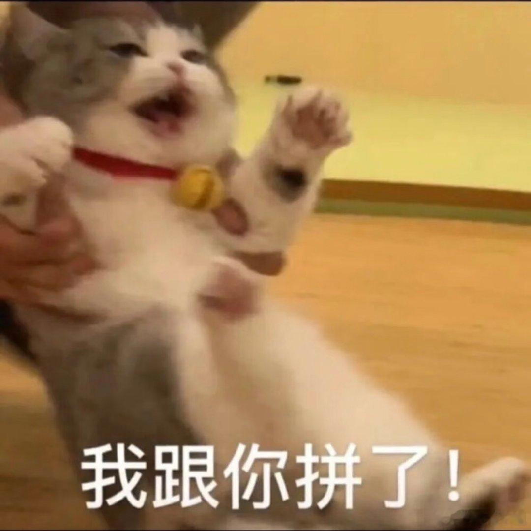 搞笑表情包分享。
