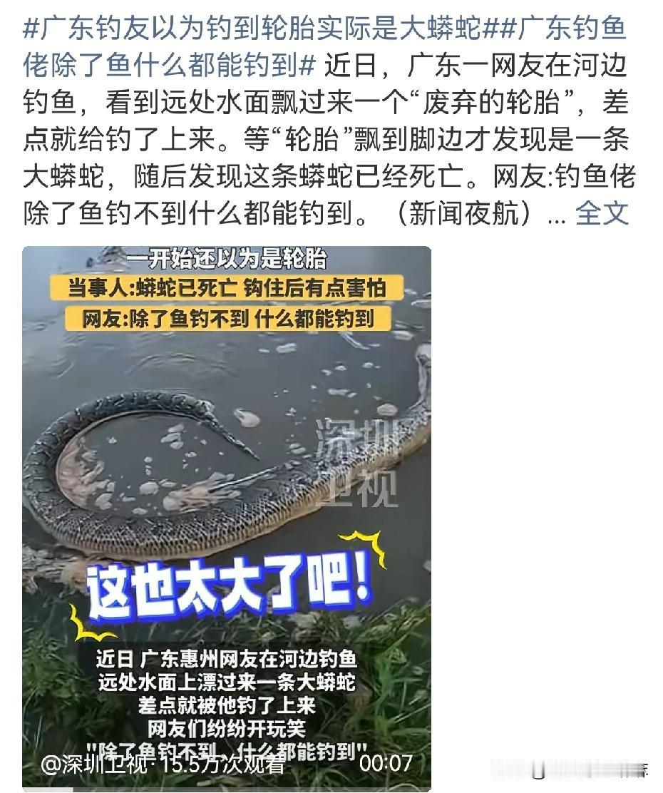 这事儿太刺激了！广东一钓友钓鱼时，远远瞅见水面飘来个东西，还以为是废弃轮胎。等飘