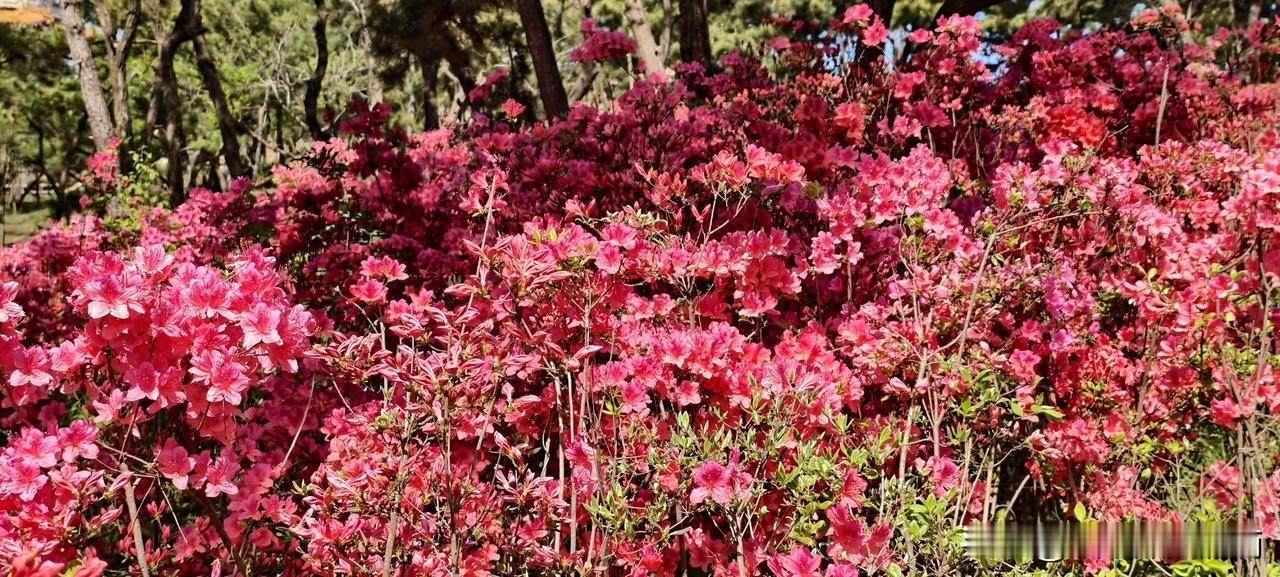 开会发言的最高境界？就是放了一通屁，还自带香味今天开项目复盘会，轮到市场部王