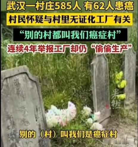 武汉一个585人的村子，62人得癌症或白血病！村民举报工厂4年，环保局没来，工厂