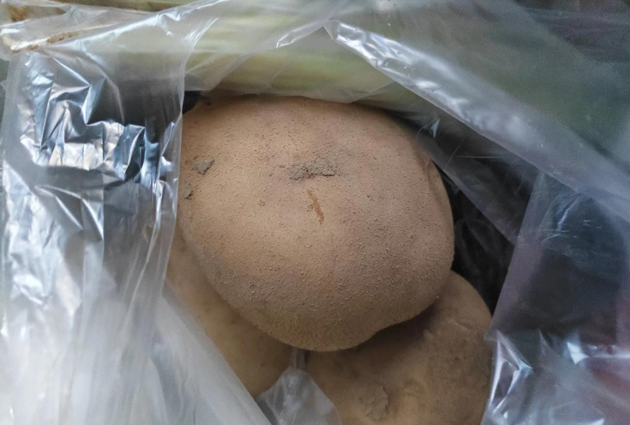 当下兰州的蔬菜价格，你们觉的贵吗？今天下雨，闲来无事，又到超市捡漏。来到蔬菜区