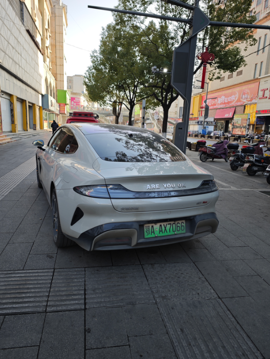 AREYOUOK都能当标？早上上班，看到了两辆有意思的车，一辆红旗HS5，