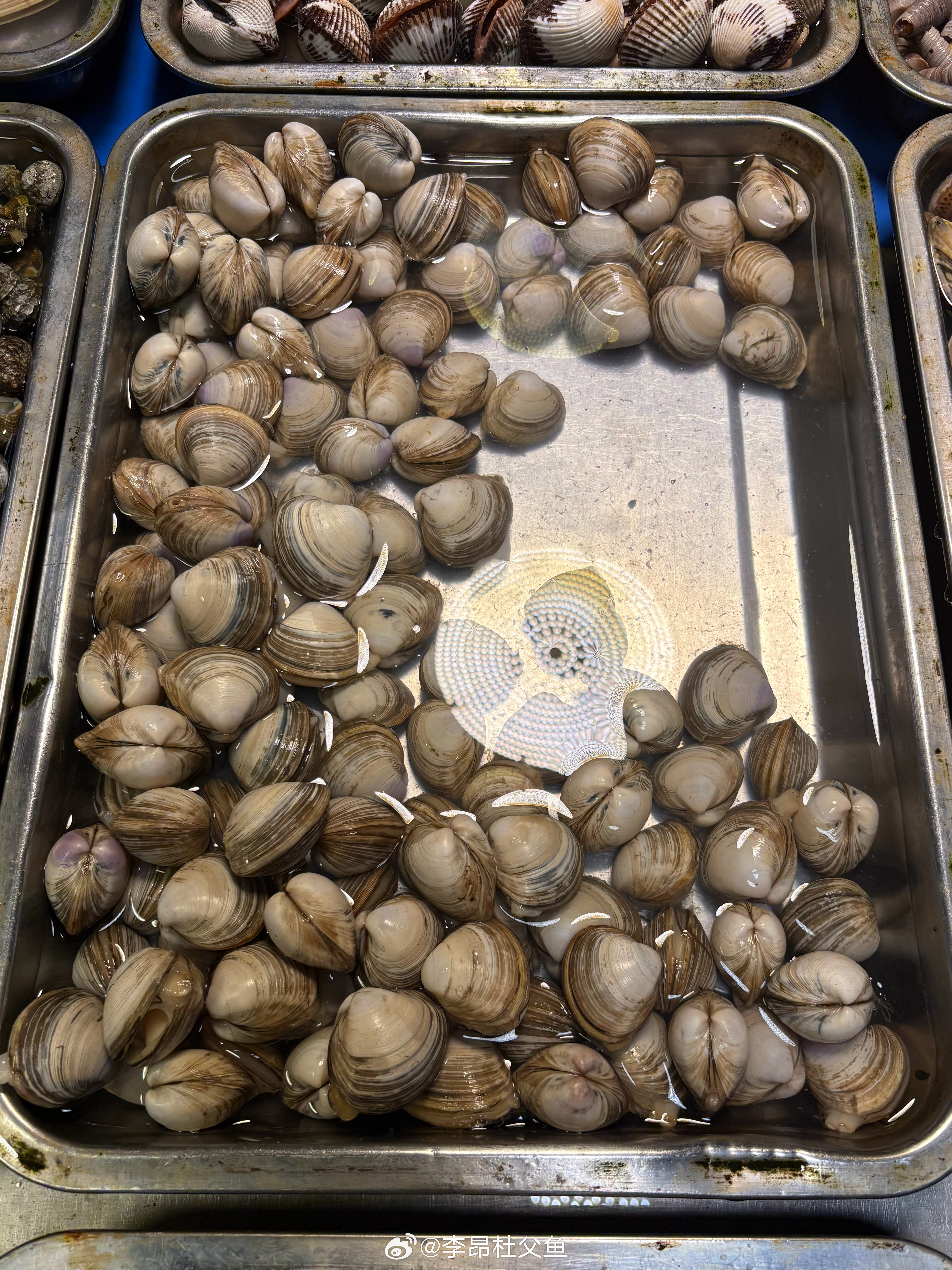 记得很多年前参加过一次黄河口文蛤调查，那次用的是租来的渔船。有一天，一网拖上来2