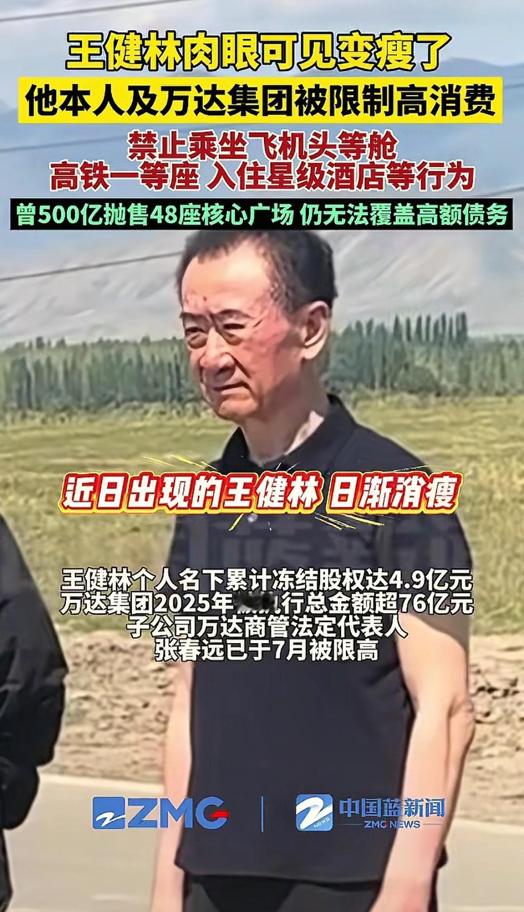 刚跟老公聊王健林被限高，我随口吐槽：“他老婆林宁手里几千亿，咋不救老王一把？”