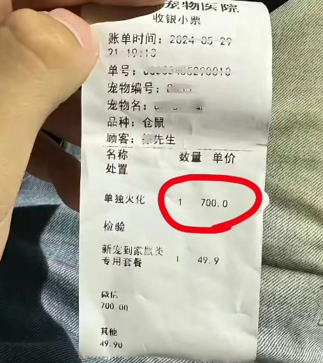 仓鼠死了，火化居然要700？宠物店也太赚钱了吧