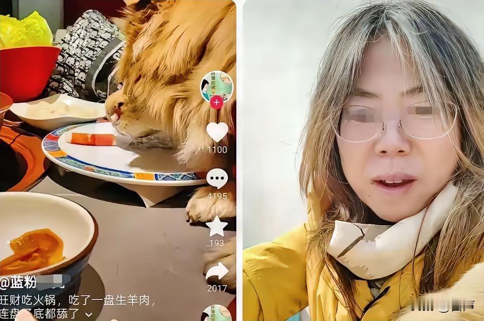 奉劝大家一句以后遇到让狗进的饭店，大家都别去了这和爱不爱狗没关系，因为难以保