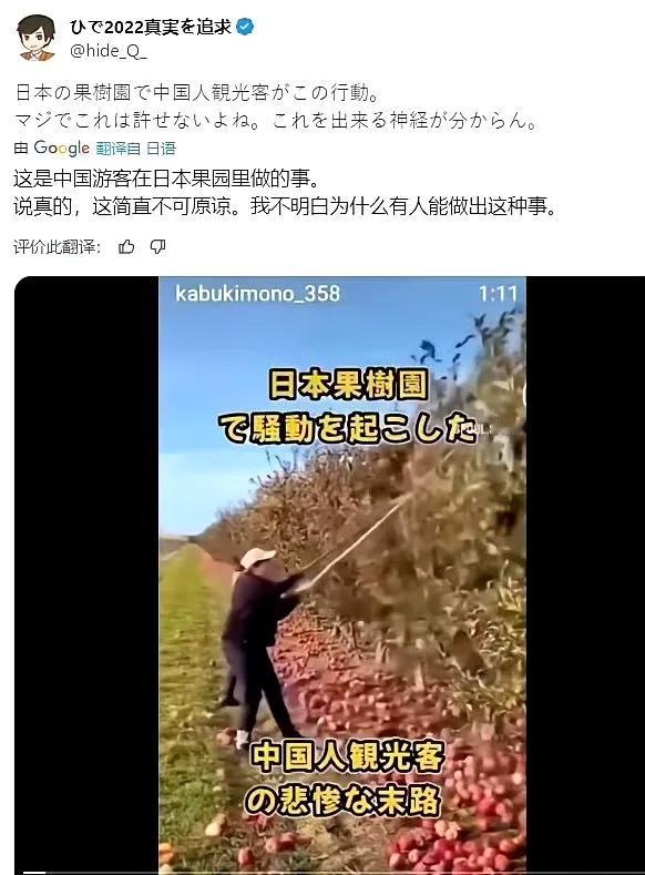 日本人造谣抹黑中国翻车了！日本网民盗用中国网络上果园摘苹果视频，污蔑中国游客到日