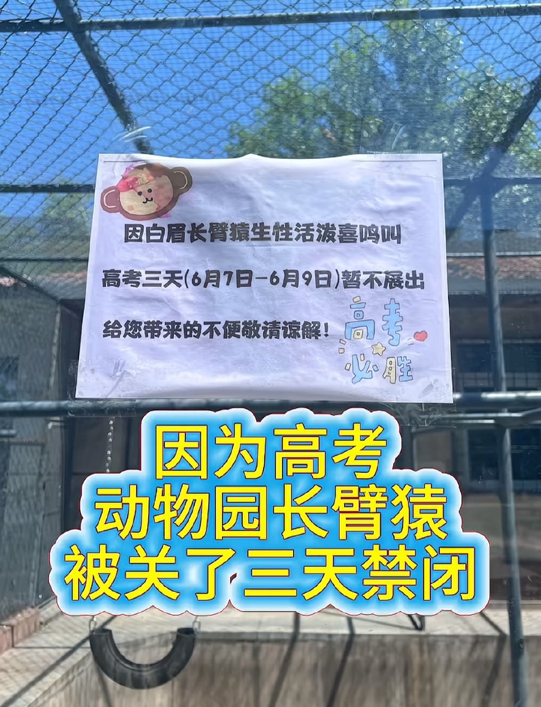 年年高考年年被关禁闭