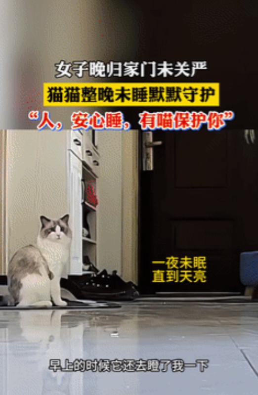 太有灵性了！9月4日，新疆一女子半夜回家时忘记关门，洗漱完后就去睡觉了，家里养的