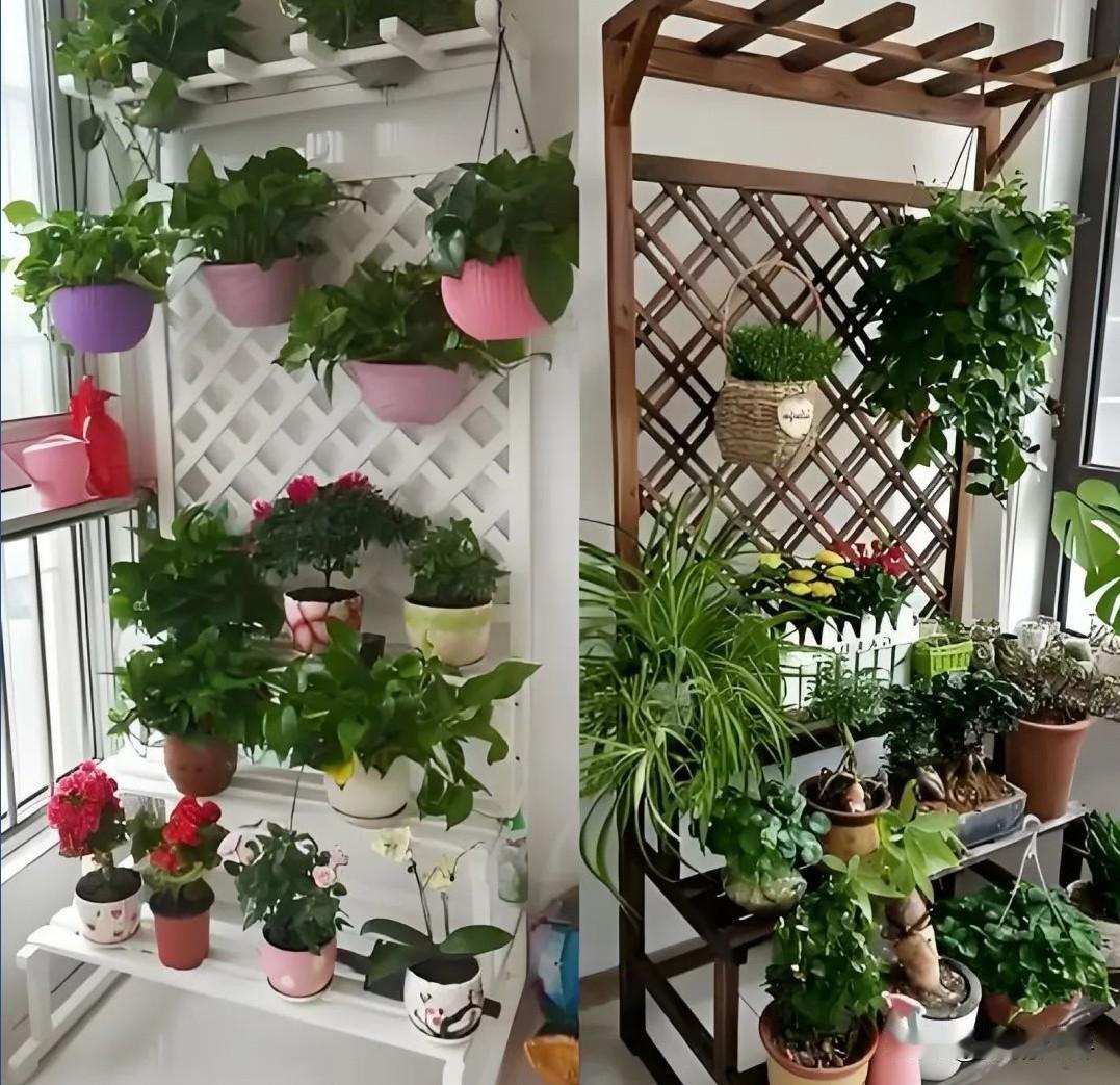 人大教授郑风田建议给70岁以上农村老年人每月发1000元。好是好，但依我对农村