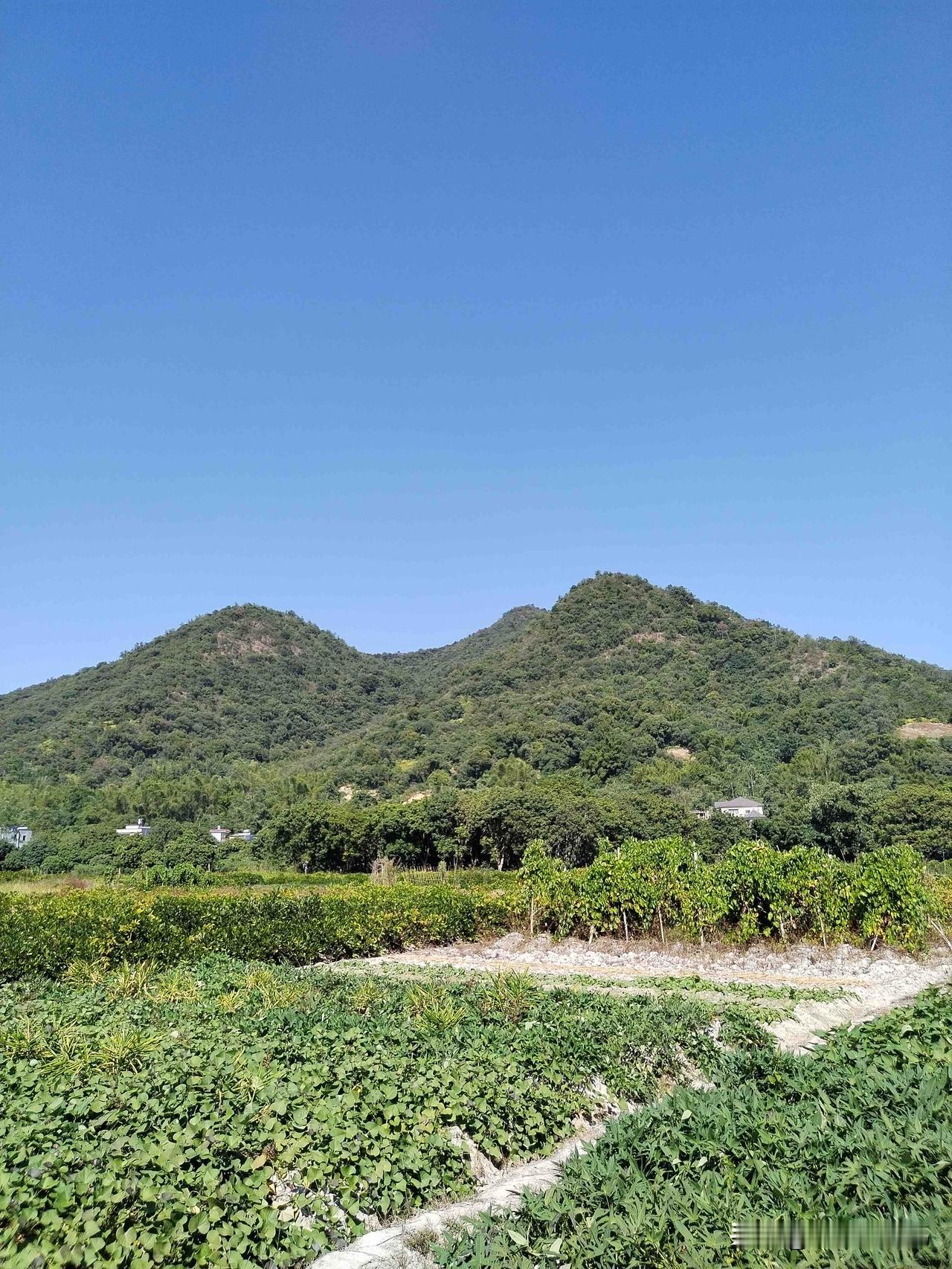 手机随手拍原创图片今天出门随手拍了张照片，你们瞅瞅这天空，蓝得跟块刚擦干净的镜子