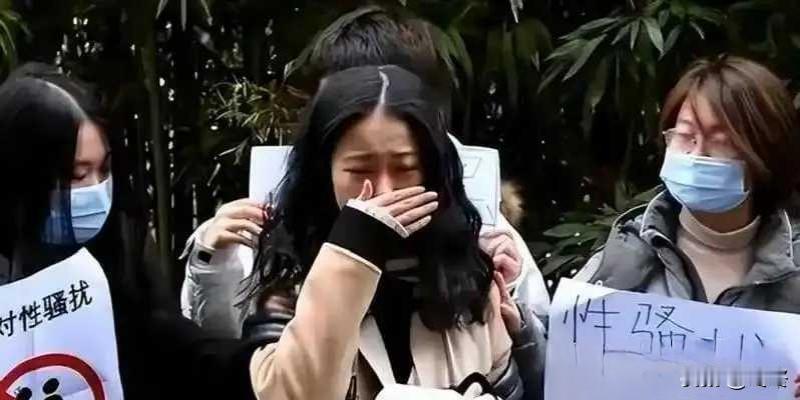 7年前诬告朱军的弦子，如今结局大快人心！提起7年前那场轰动全网的“朱军性骚扰”