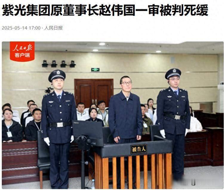 赵伟国落马，国家钱打水漂，谁在背后推波助澜？2025年5月，原紫光集团董事长