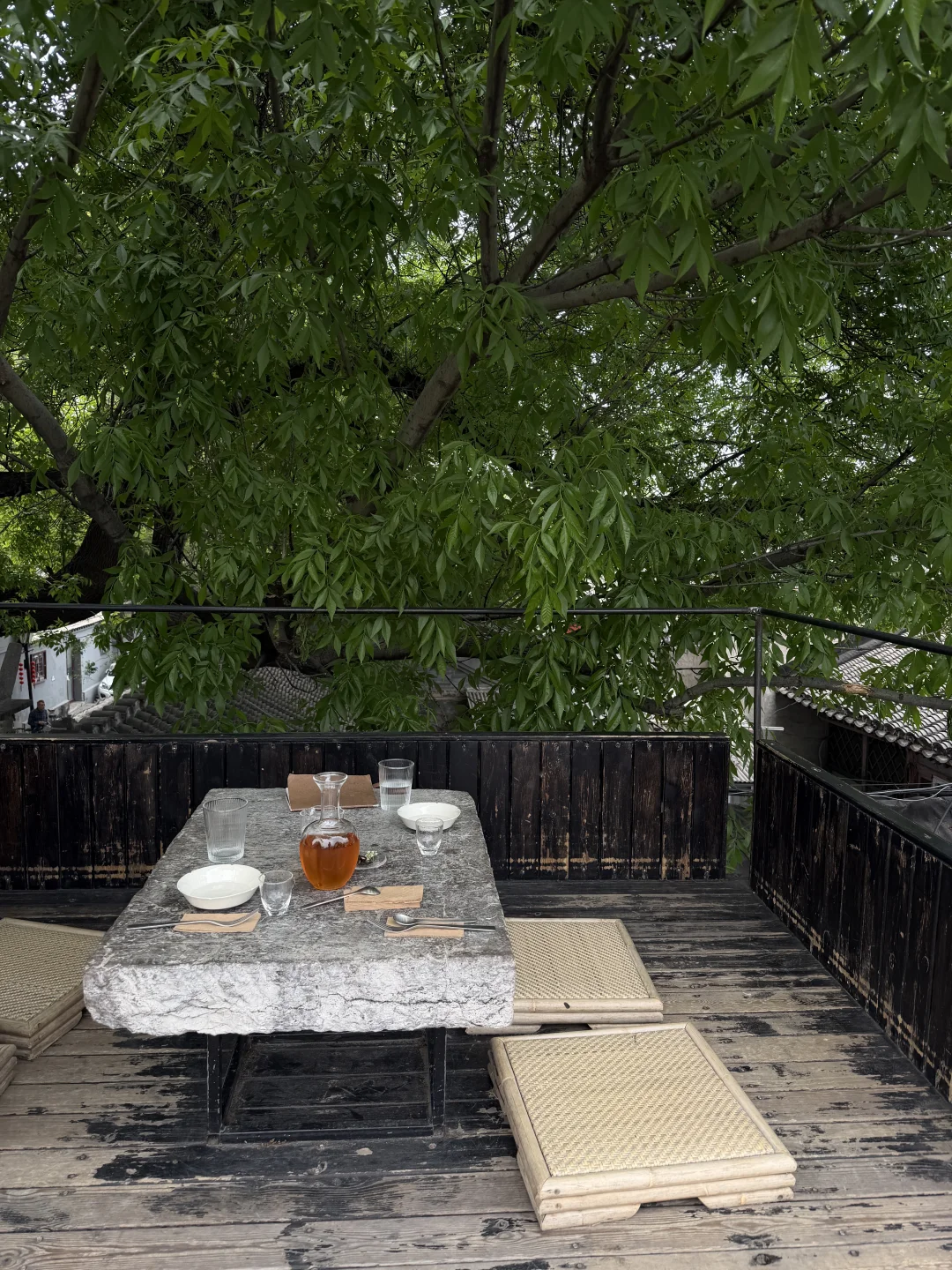 🌳北京春天｜坐在树下饮茶喝酒的小店分享