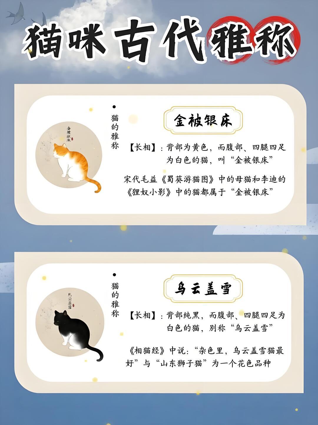 古人对猫咪的雅称。古人是多喜欢猫咪，看看这些好听的名字。