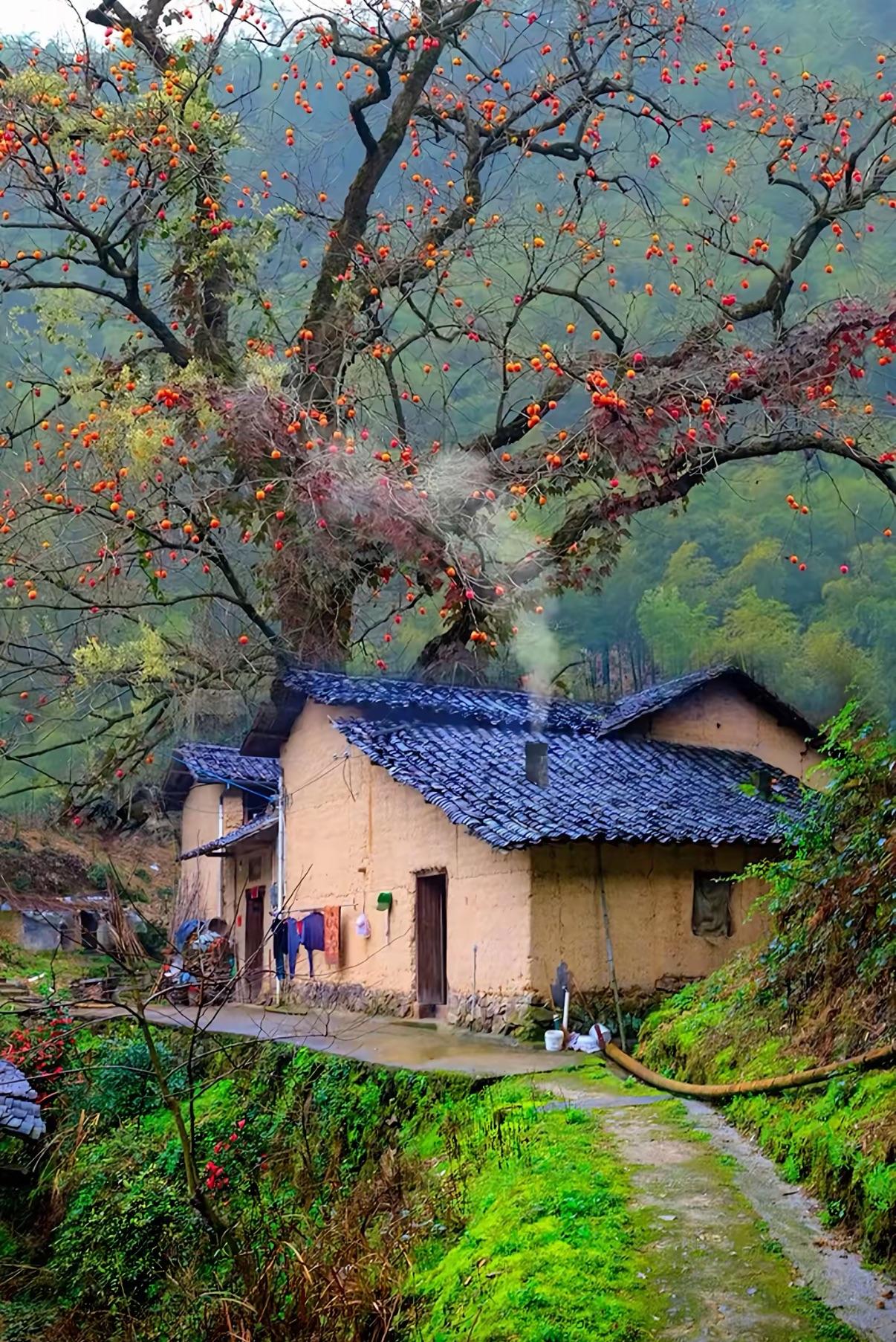 失去的是慢下来的耐心，指尖划走的是碎片化的信息，留不下深度思考的余味；失去的是面