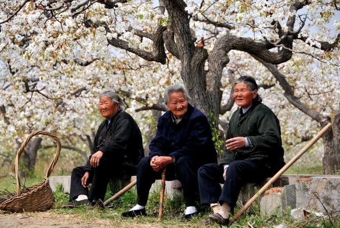 老人怎样才能长寿、高质量过晚年？保持年轻的心态，是最重要的。我们的老人往往受到