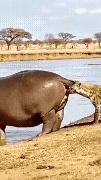 这个说明了什么问题？🤔