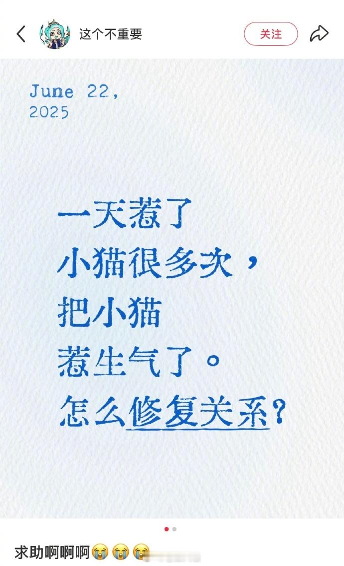 怎么和生气的小猫修复关系​​​