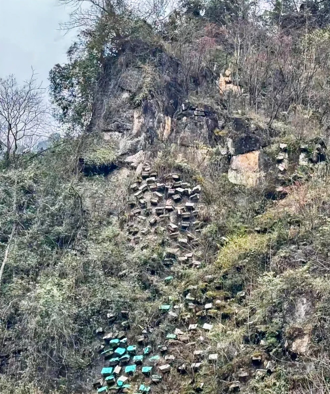 安徽，有一名女子跟同事周末结伴去爬山，当她们快要爬到山顶的时候，发现山沟的地面上