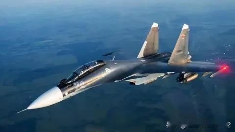 乌克兰海军报告，俄罗斯占领者在兹米尼地区损失一架Su-30SM战斗机一