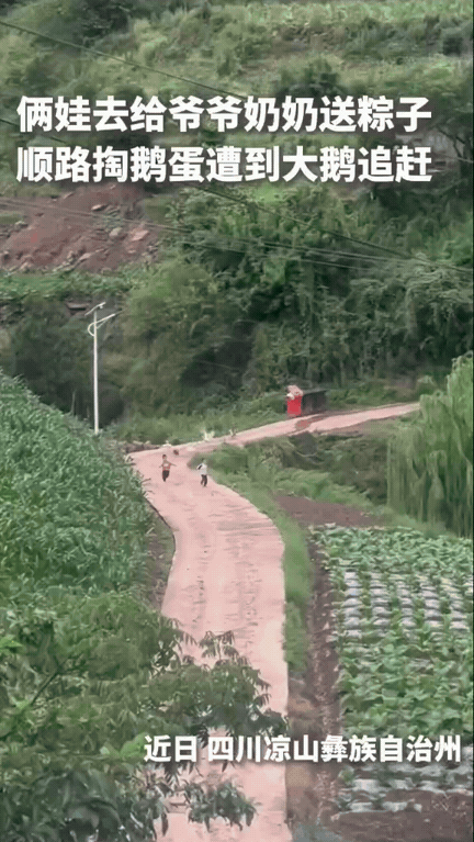 笑不活了！女生端午包了粽子，看见两个小孩在院里玩，就让他们帮忙给爷爷奶奶送过去。