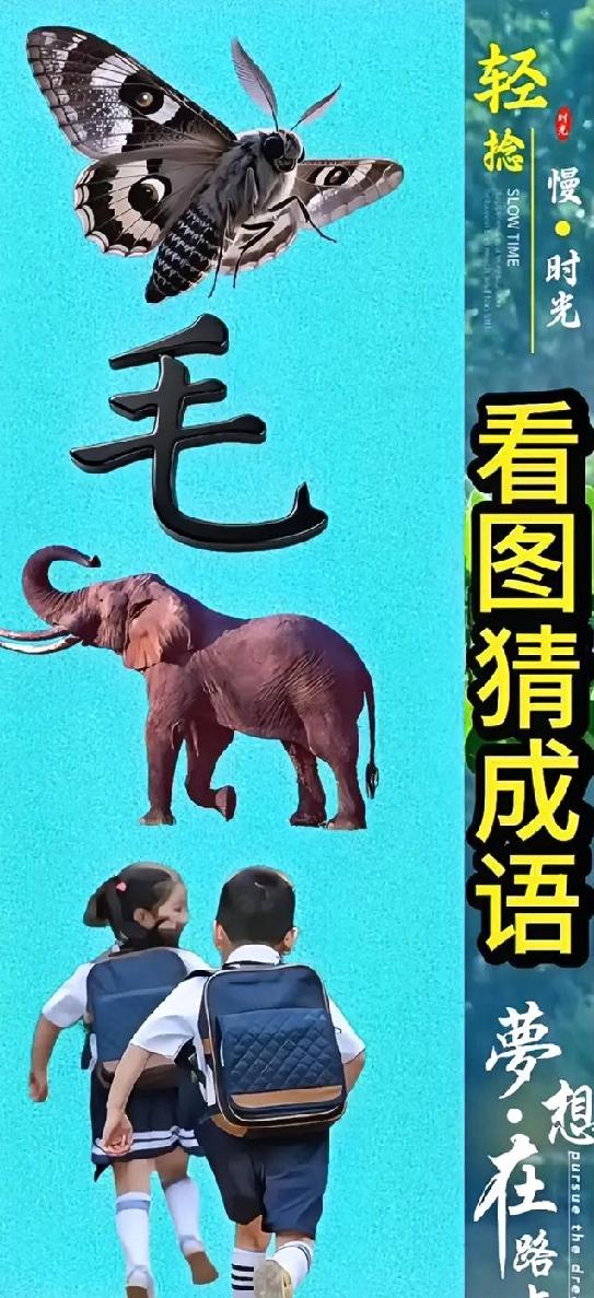 蝴蝶+“毛”字+大象+小学生，这是什么成语？