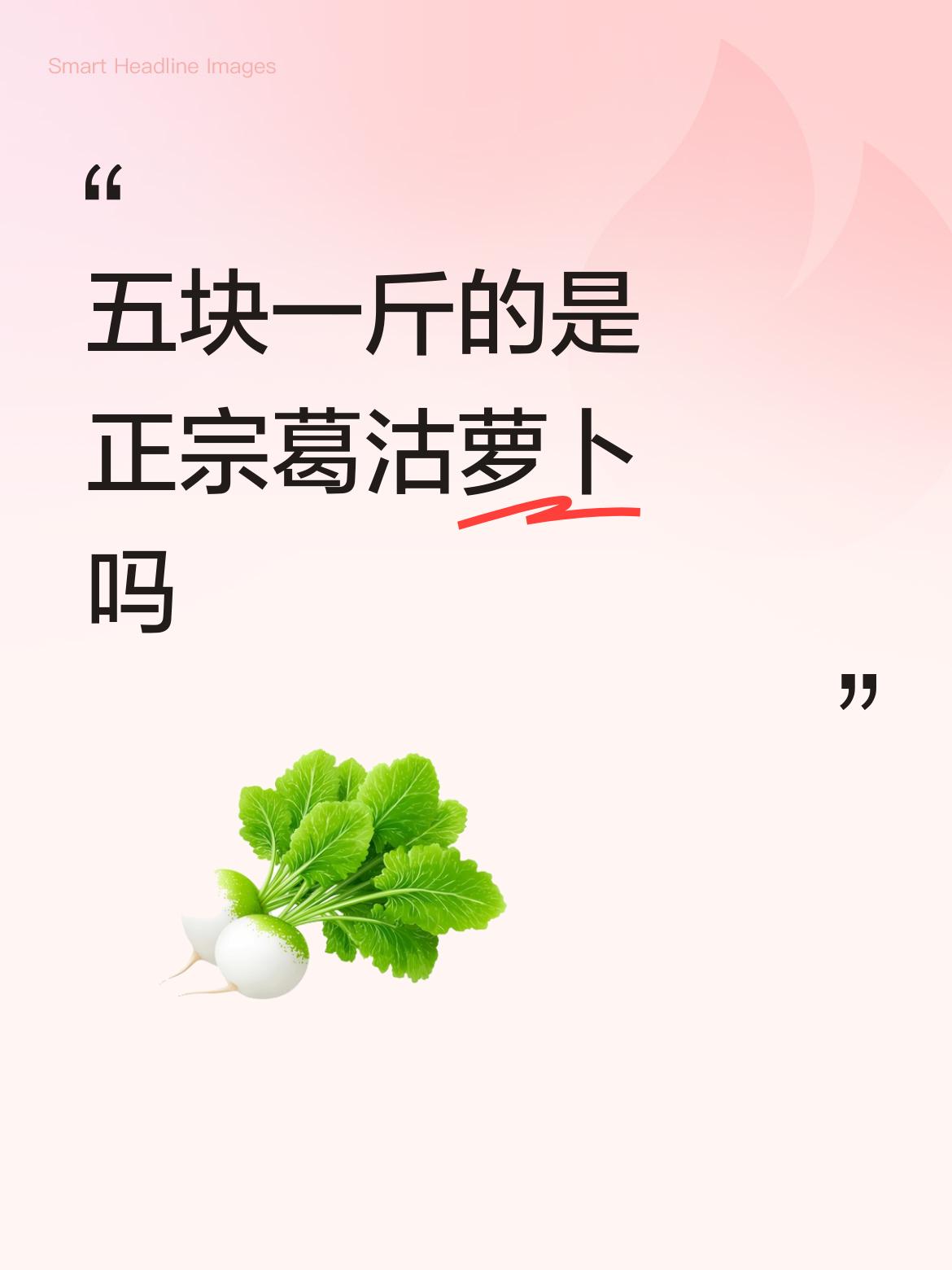 现在这萝卜是真好吃，大点的萝卜我每两天吃一个，小点的一天吃一个，我们这也4至5元