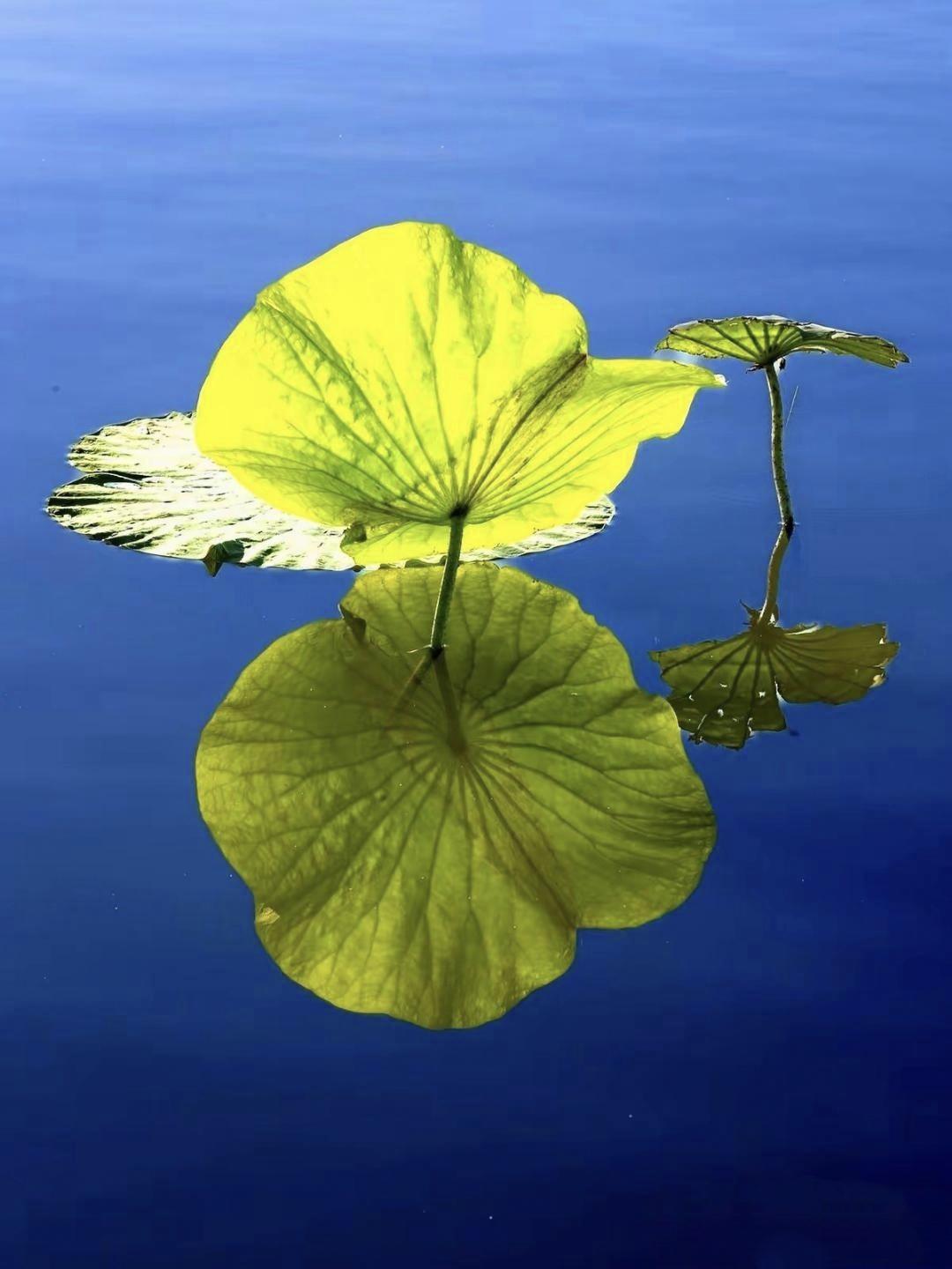 我有个当了一辈子医生的朋友，那天喝多了，跟我说了句话，听得我后背直发凉。他说：