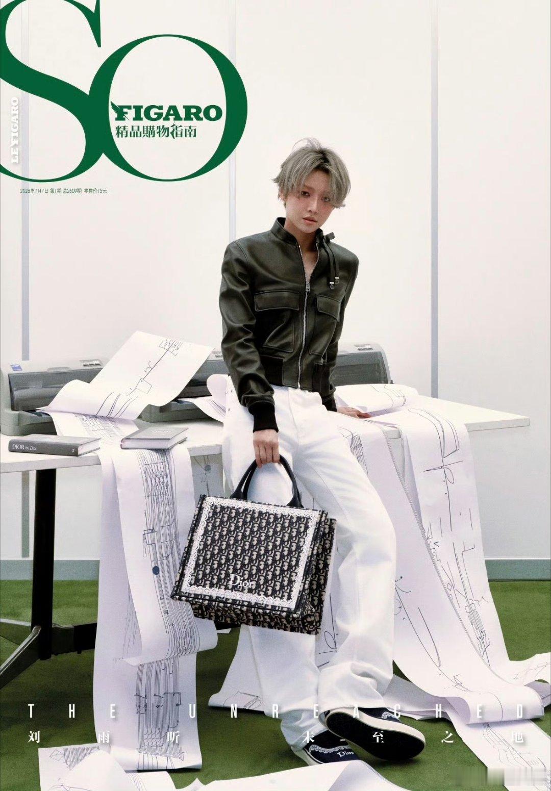 刘雨昕最新杂志封面好高级的风格