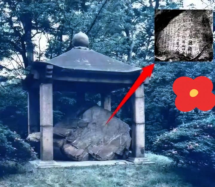 既要又要，你脸真够大的！这就叫典型的“揣着明白装糊涂”吧？藏着一块9.5吨重