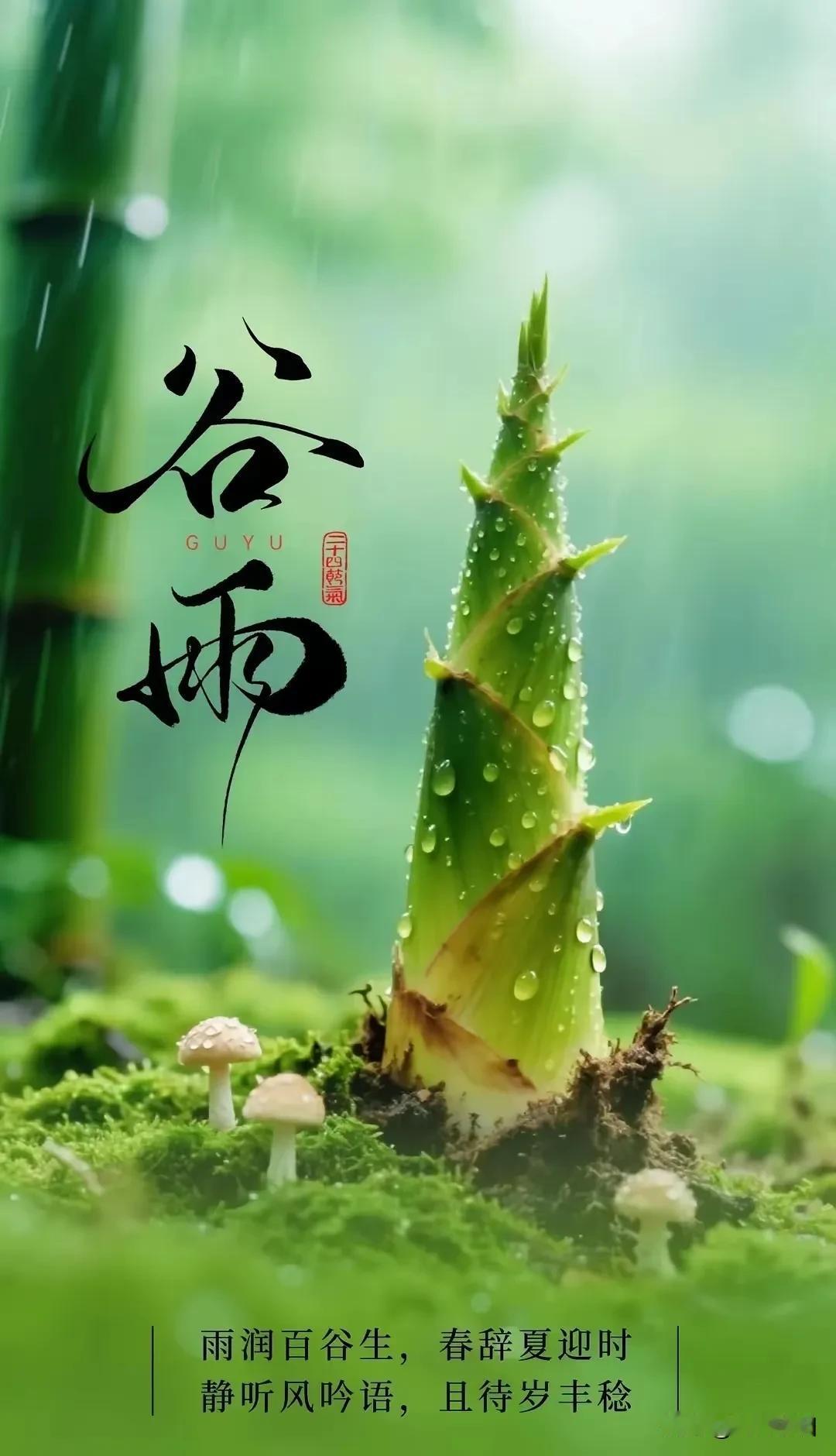 《清平乐·谷雨寄情》谷雨将晚，春尽芳菲暖。细雨和风舒意满，情寄人间千