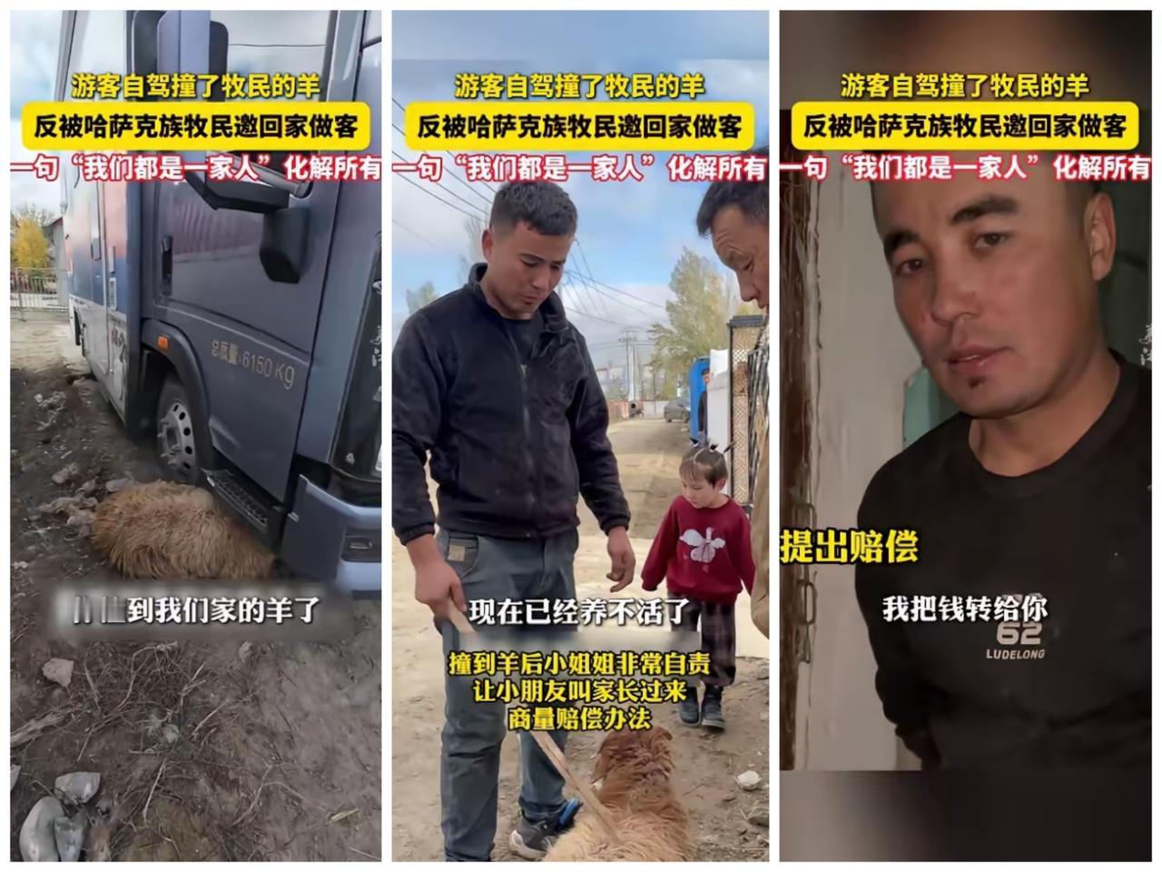 “上央视新闻了!”新疆阿勒泰,一女子自驾游时,不小心撞到了牧民的羊,羊腿骨折活不