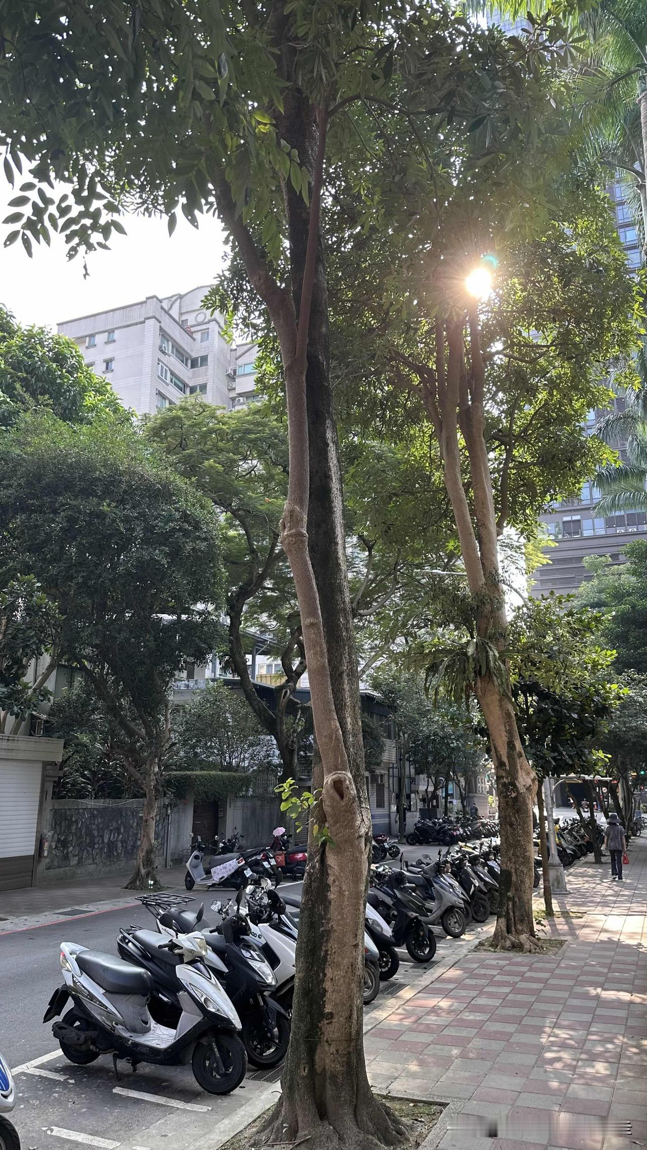 前几天写了我先生的二姐，也就是我的二姑姐，因为医师怀疑她体内有细胞病变，所以做了