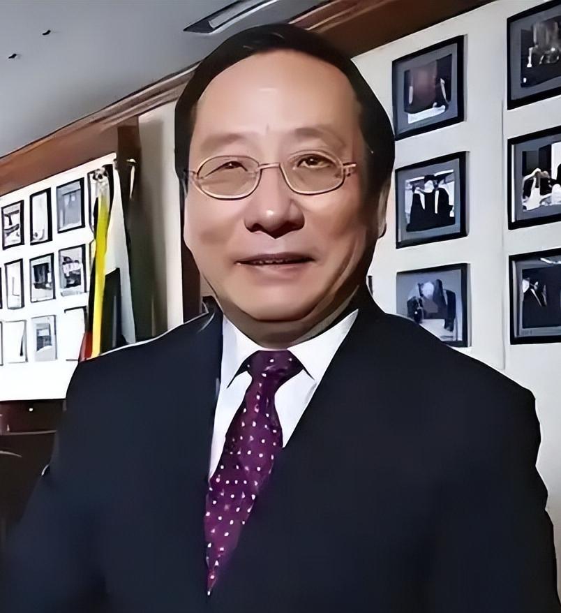 高志凯提出了一个反向设问：俄罗斯既然觉得经蒙古向中国输气是一条好路，也可以让俄气