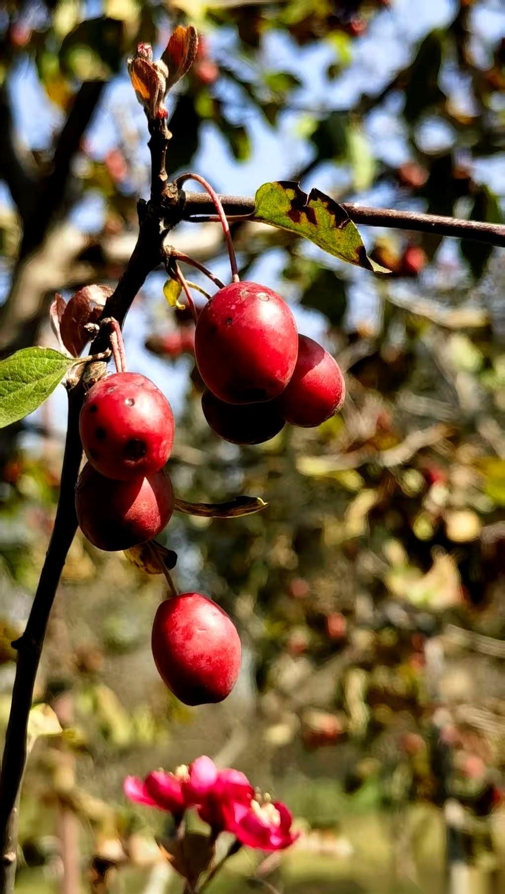 你手机上那个买入键，刚准备按下去，猜怎么着？在你看不到的机房里，那台比你聪明