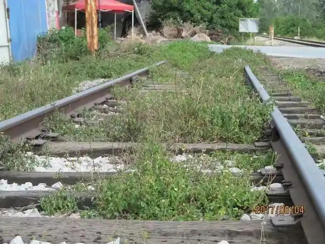 遍地杂草的废弃铁路，拆了能赚几十亿，国家为啥宁愿荒着也不动？走在城郊或者老厂
