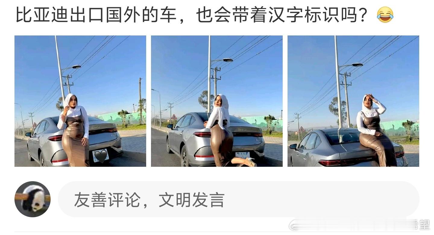 出口也分国行，平行进口，水车。比亚迪现在在国外非常火，仅靠代理正规渠道不能满足需