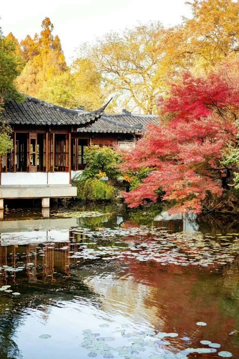 “楼阁先知晓，园林预觉秋...”丨立秋