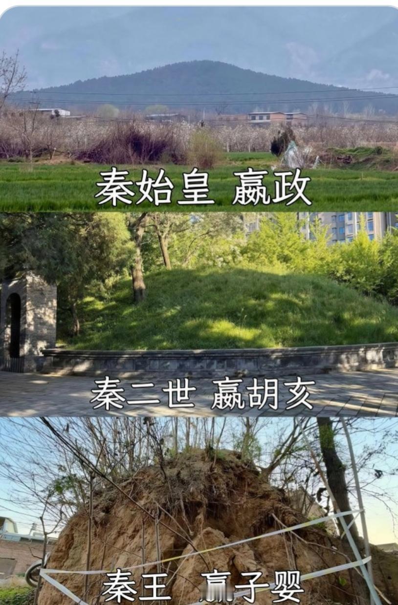 谁能想到，横扫六国、倾尽天下大一统的大秦王朝，三代帝王的结局居然是这样的？！秦