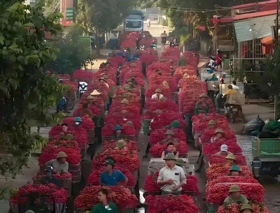 都要烂大街了，为什么还不肯降价呢？