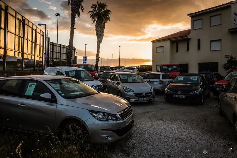 特斯拉曾经可是电动汽车界的“香饽饽”，但在欧洲却突然卖不动了，这是为啥呢？数据超